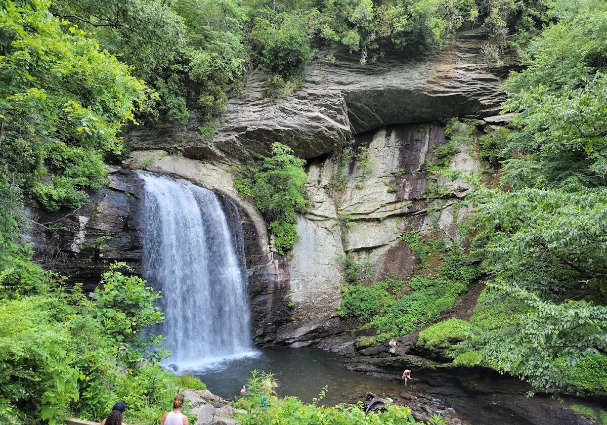 Looking Glass Falls - 2